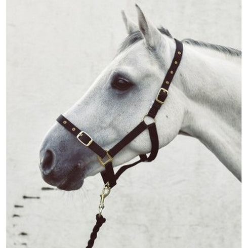 NYLON HEADCOLLAR COB/NAVY